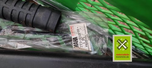 IMG_20230911_185335
